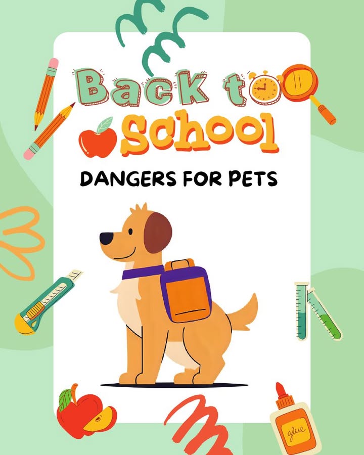 Every year, the ASPCA Animal Poison Control Center receives calls related to kids going back to school
