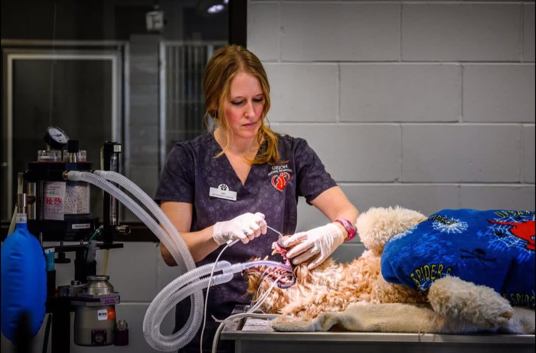 🦷As Dental Month comes to an end here are some tips for at home: