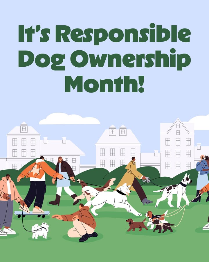 🐶 Celebrate Responsible Dog Ownership Month by staying on top of regular wellness exams, their preventatives, and lots of love