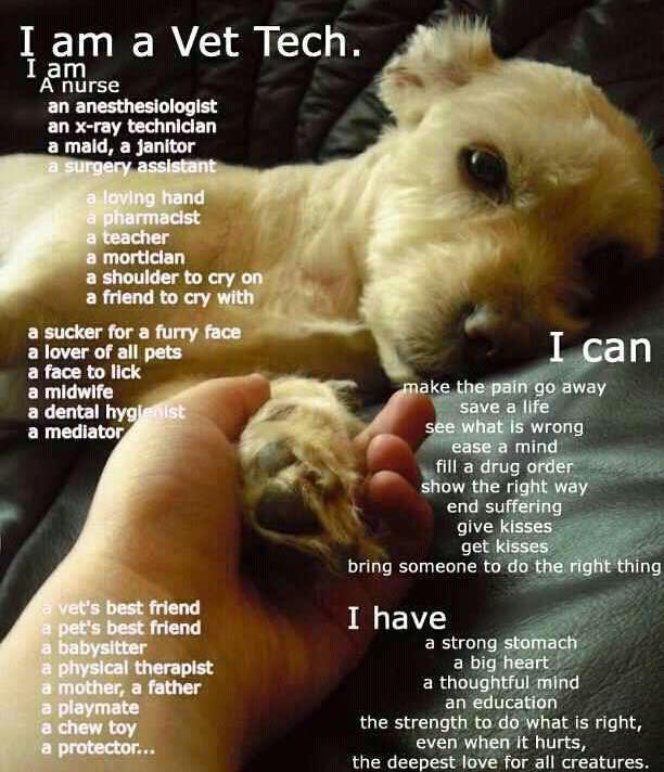 Photos from Orion Animal Hospital's post