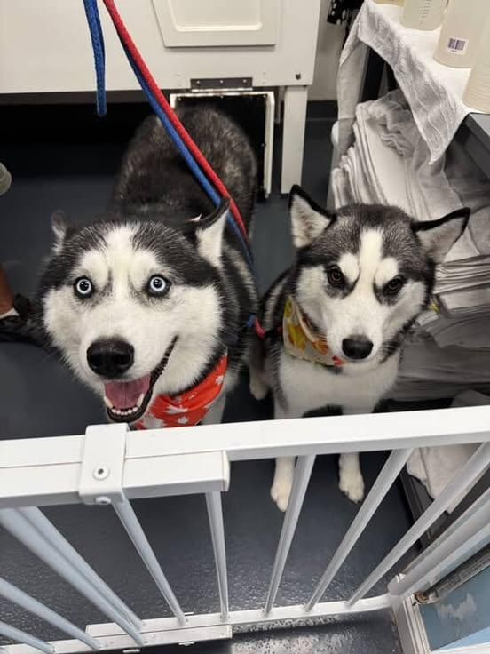 Bath buddies! ❤️🐾