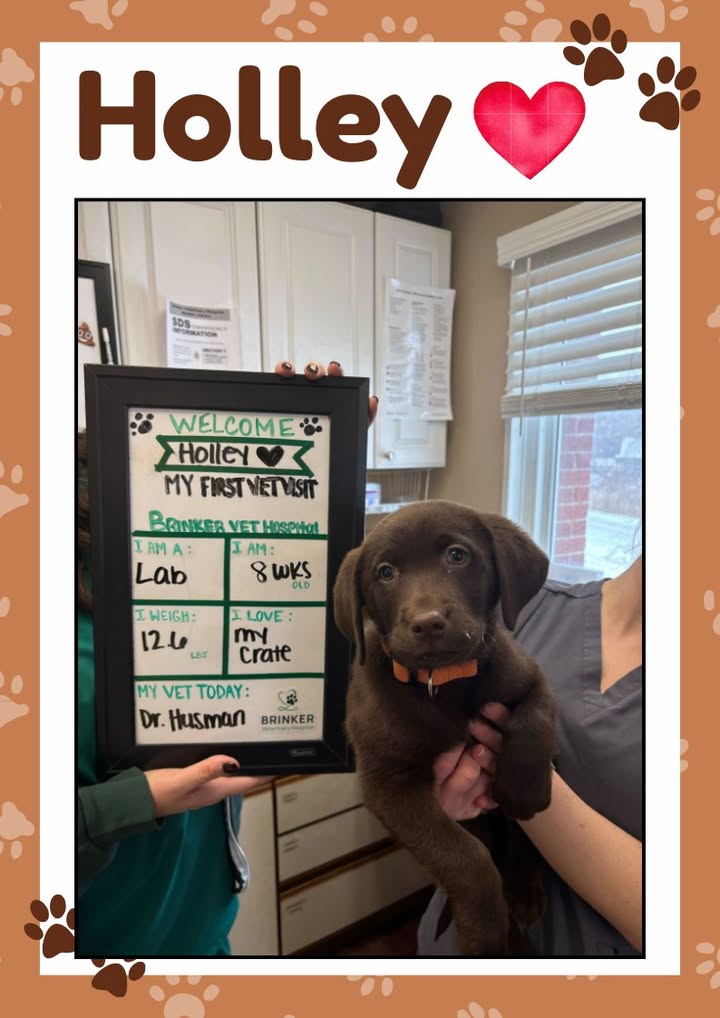 Welcome, Holley!