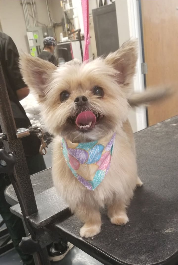 This little face!