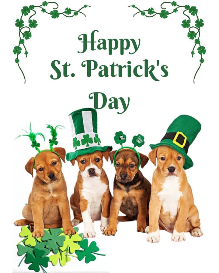 Happy St. Patrick's Day!