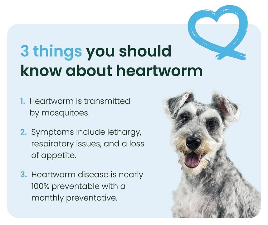 🐾 Monthly Reminder!