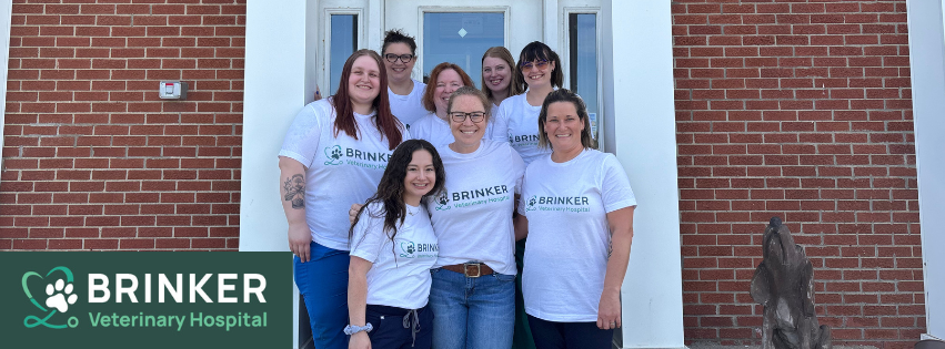 Brinker Veterinary Hospital's cover photo