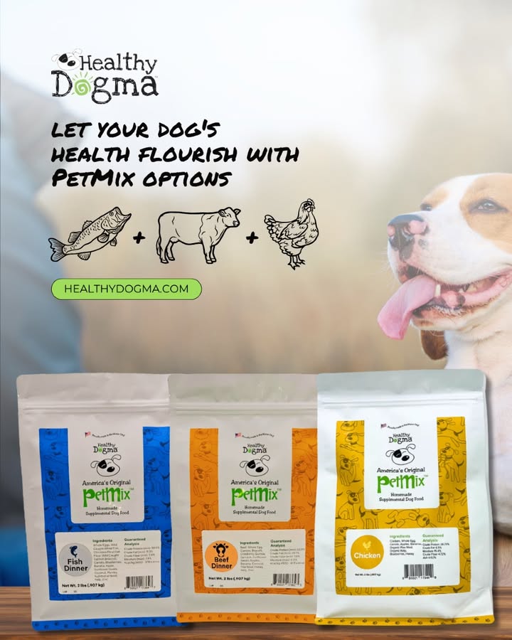 Ditch the Kibble, Choose Real Food!