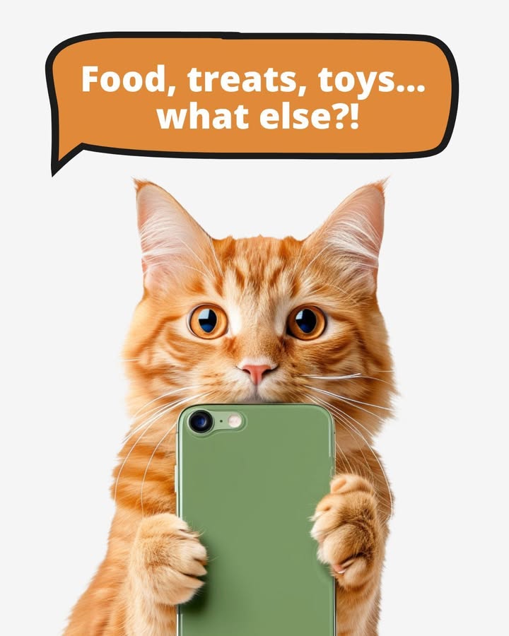 Your friendly reminder: order your pet’s food & meds today to make sure they're all stocked up on what they need going into the ...