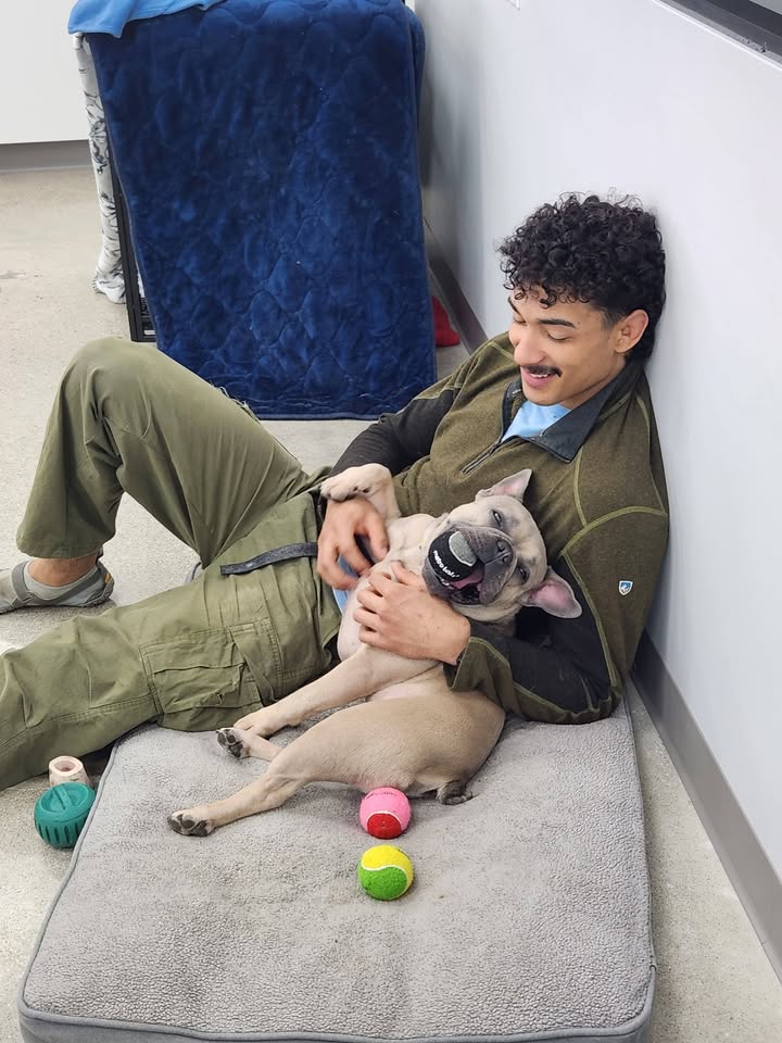 Photos from Love 4 Dogs's post