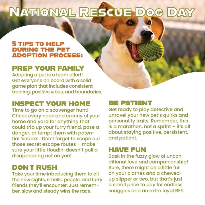 Happy National Rescue Dog Day!
