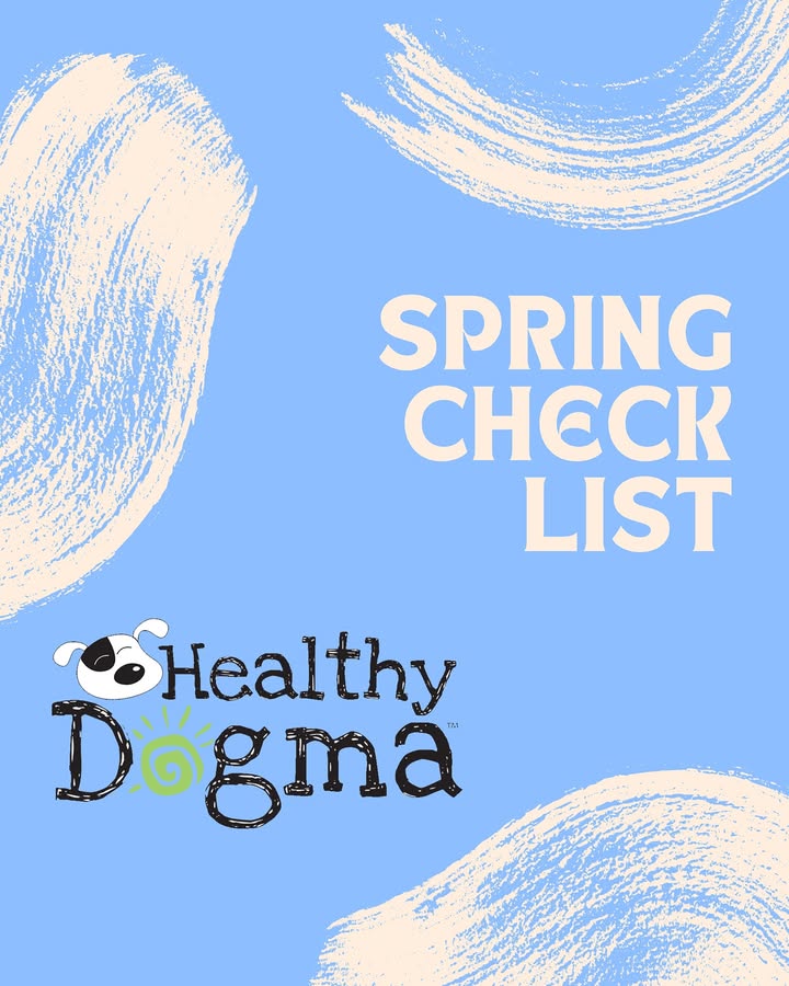 Photos from Healthy Dogma's post