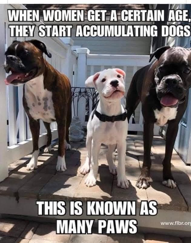 Or cats! Or chickens, or goats, or whatever! 🥰