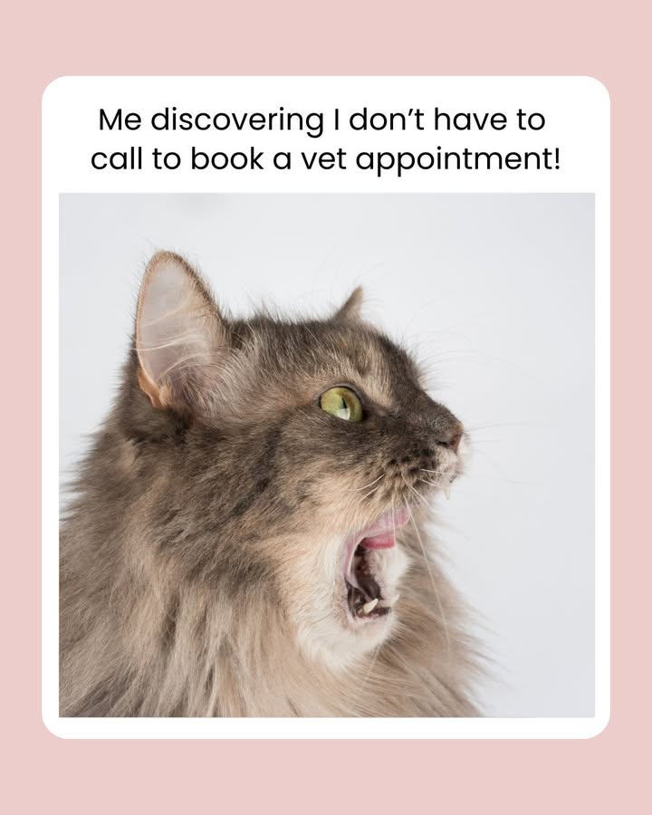 Visit our site to book online today 😎