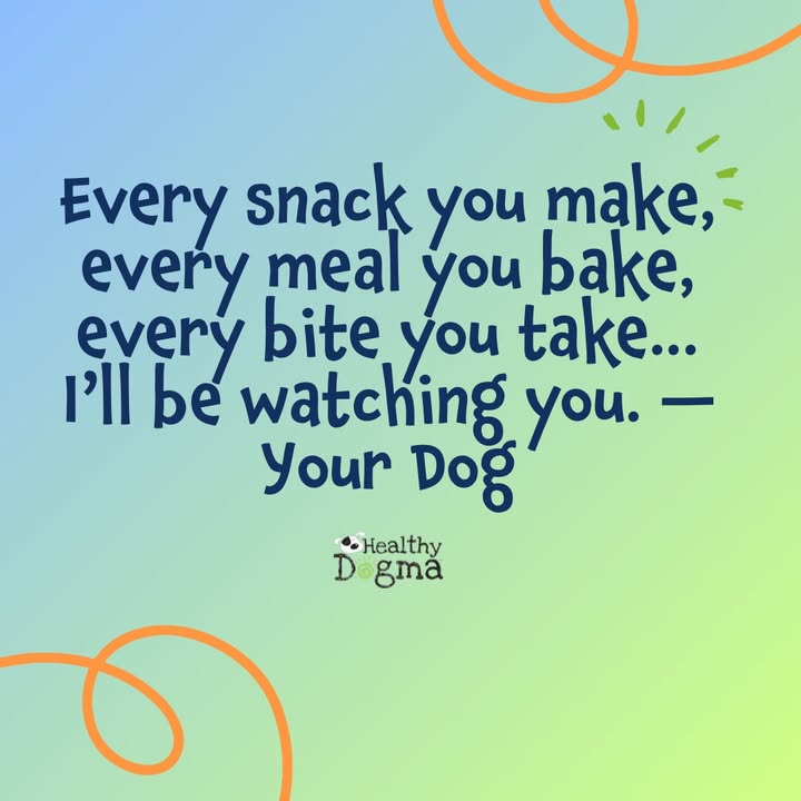 And they are always hoping it’s Healthy Dogma 💙🌱