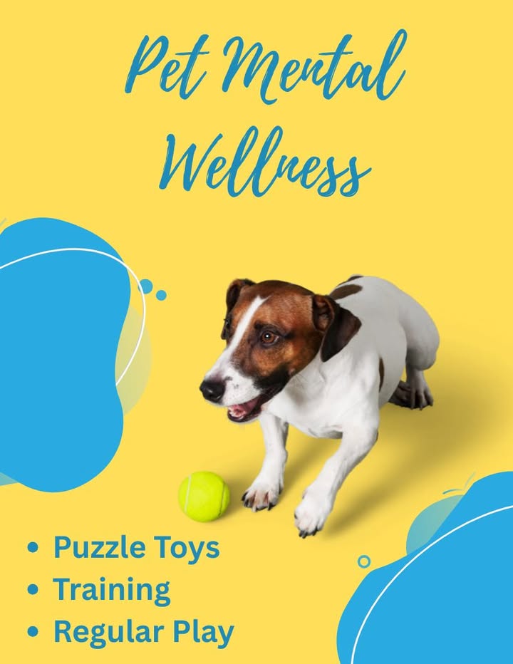 There are many ways to maintain your pet's mental wellness