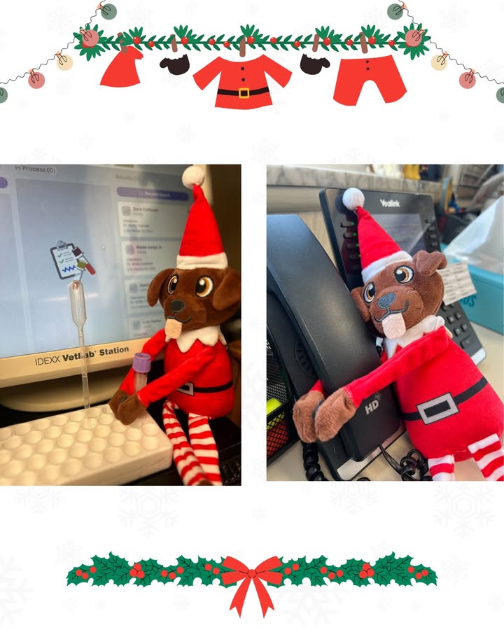 Our official clinic multitasker!