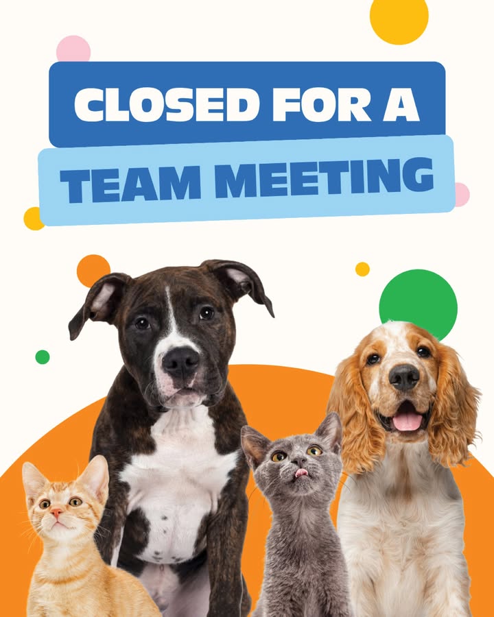 Hi, pet parents!