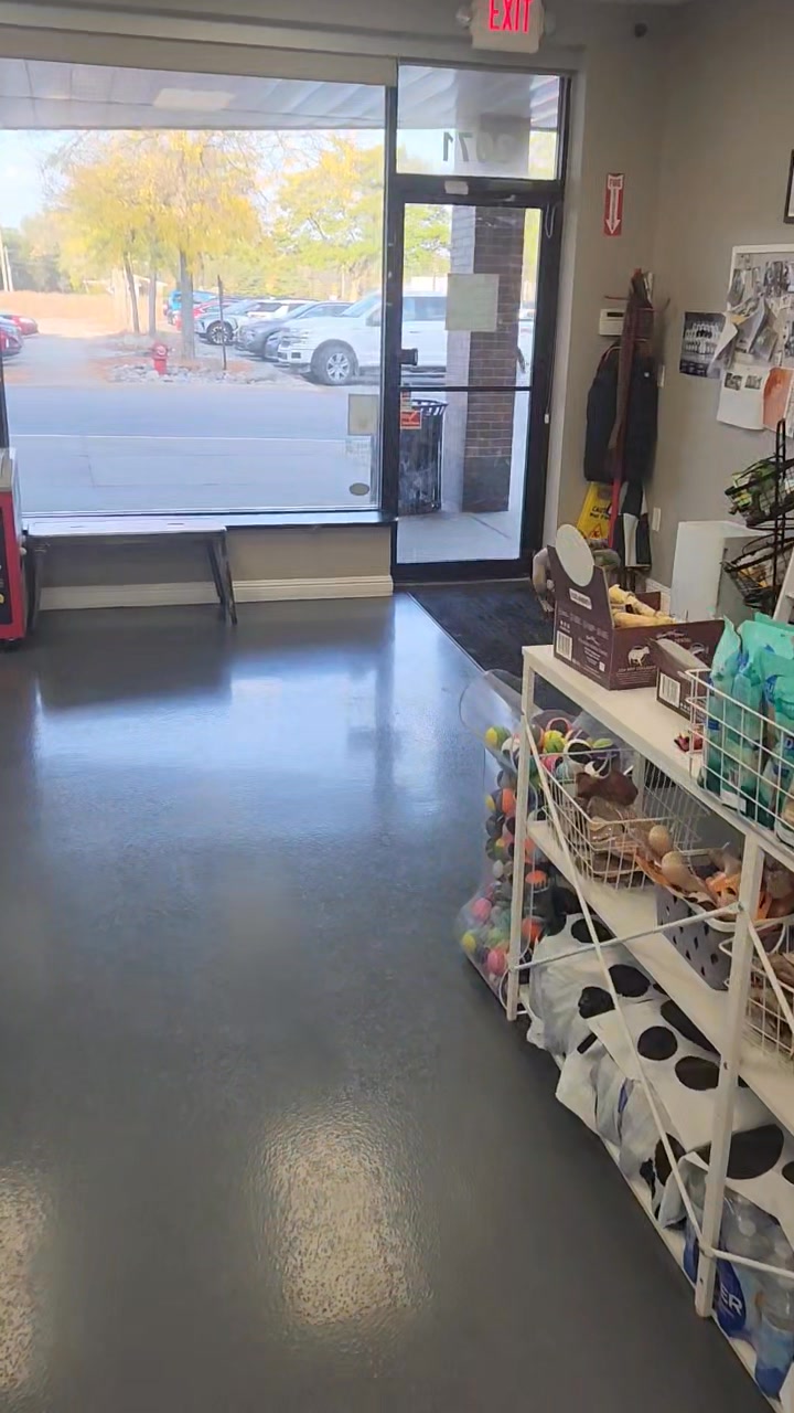 Sumo LOVES a new toy! ❤️🐾