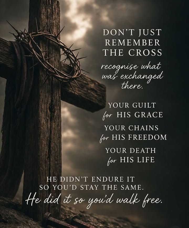 A post from Love 4 Dogs