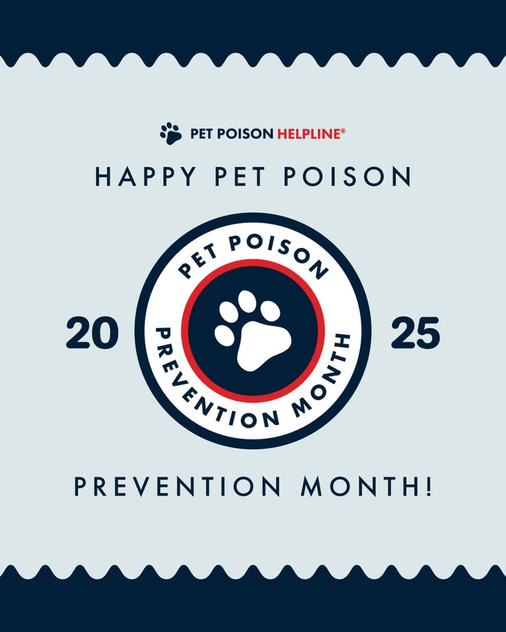 March is Pet Poison Prevention Month!