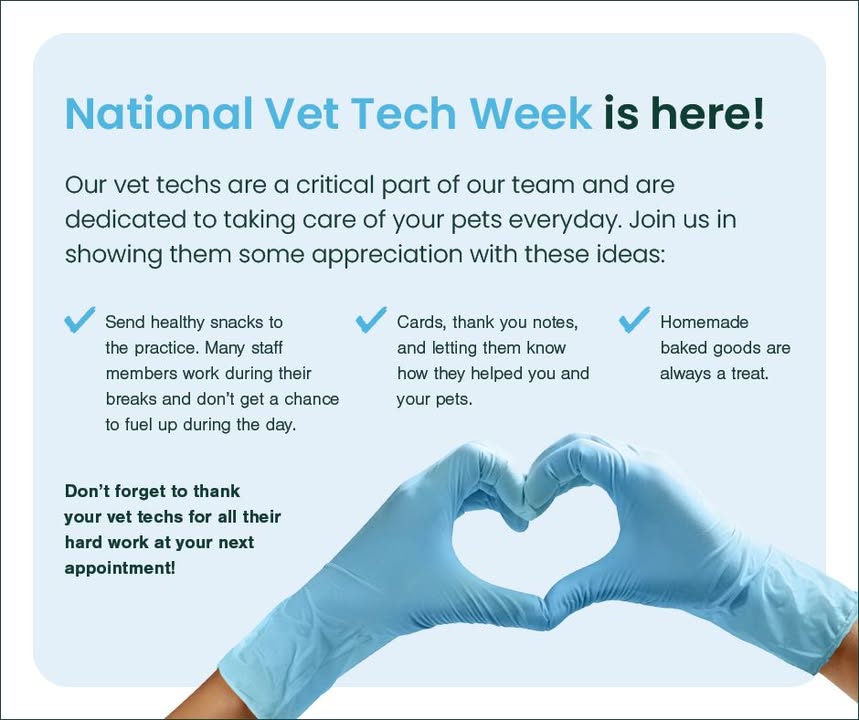 We love our vet techs!