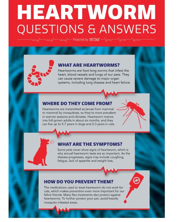 As we wrap up Heartworm Awareness Month, we leave you with some heartworm Q&A