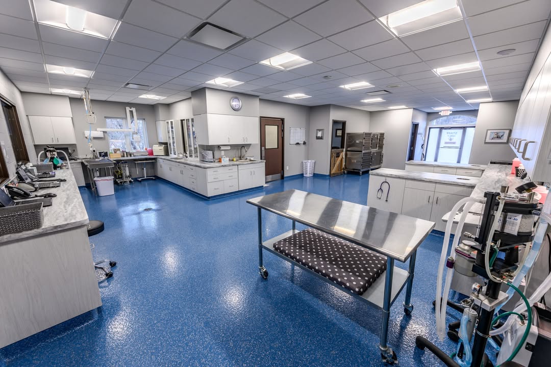 Orion Animal Hospital is still on the search for a Licensed Veterinary Technician to add to our amazing team