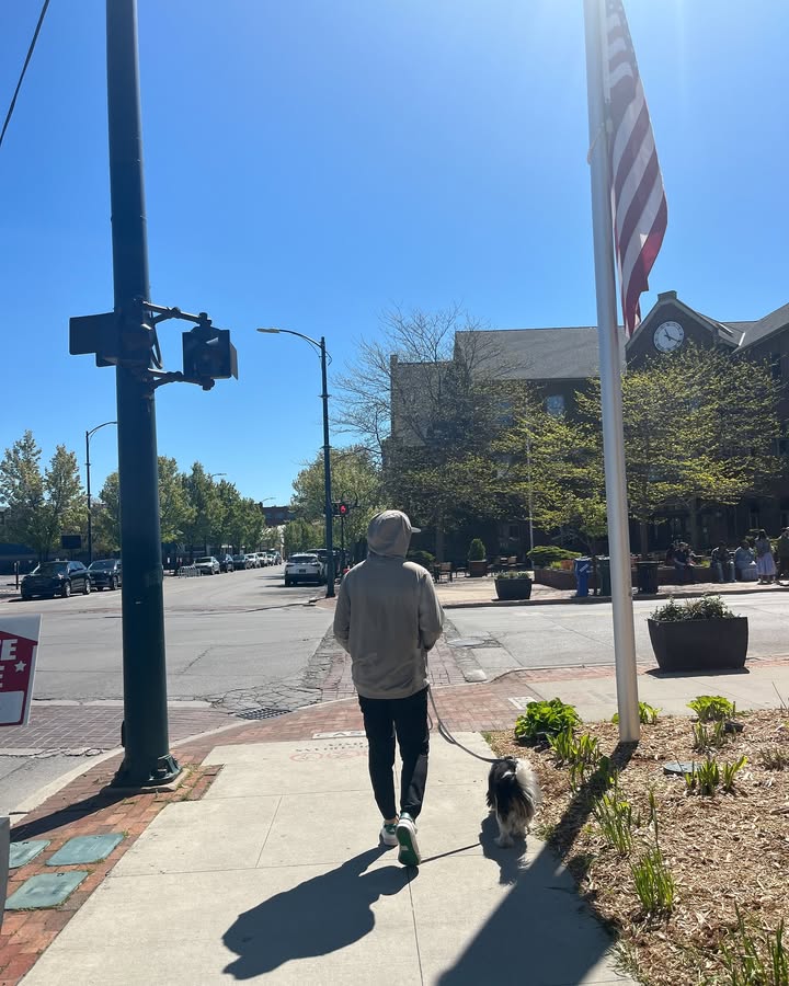 Photos from Healthy Dogma's post