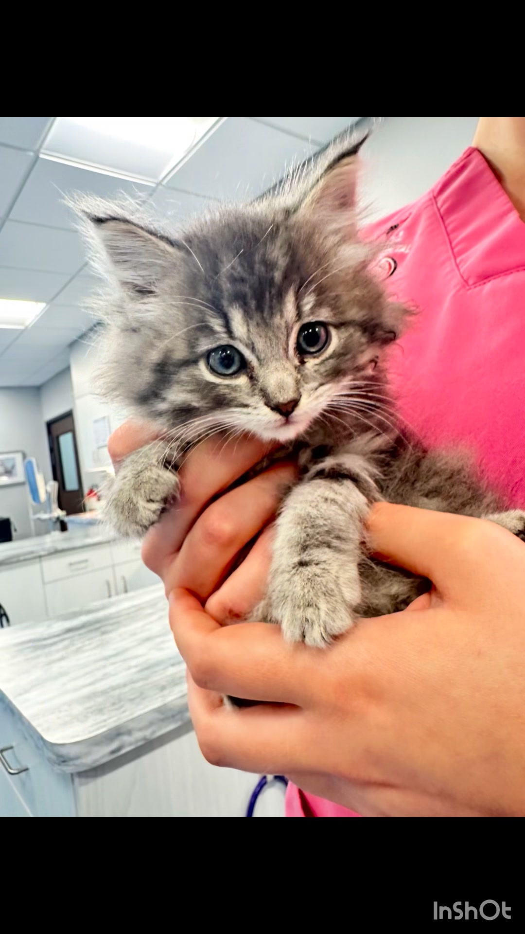 Halloween Wrap-Up 🎃