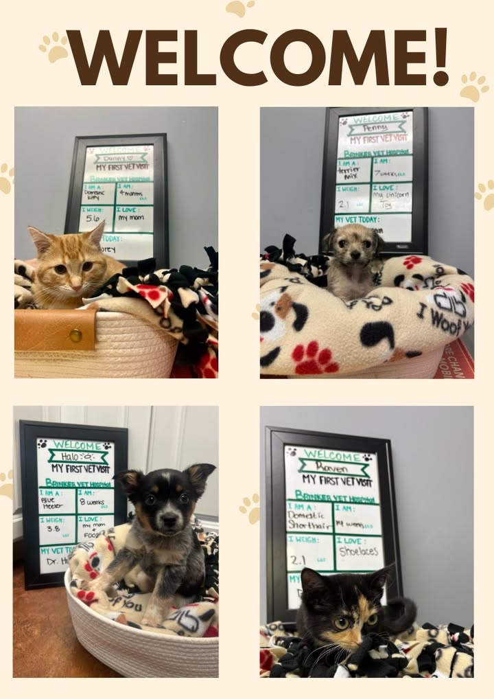 Last month we welcomed several new friends to our practice!