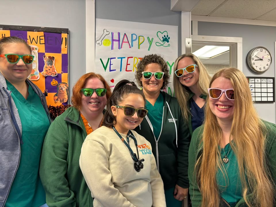 Happy Vet Tech week