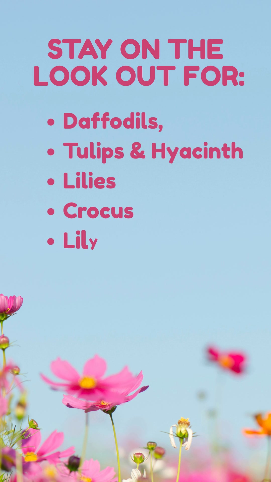 It's National Poison Prevention Week ⚠️ Did you know that these common spring blooms and garden products can make pets sick?