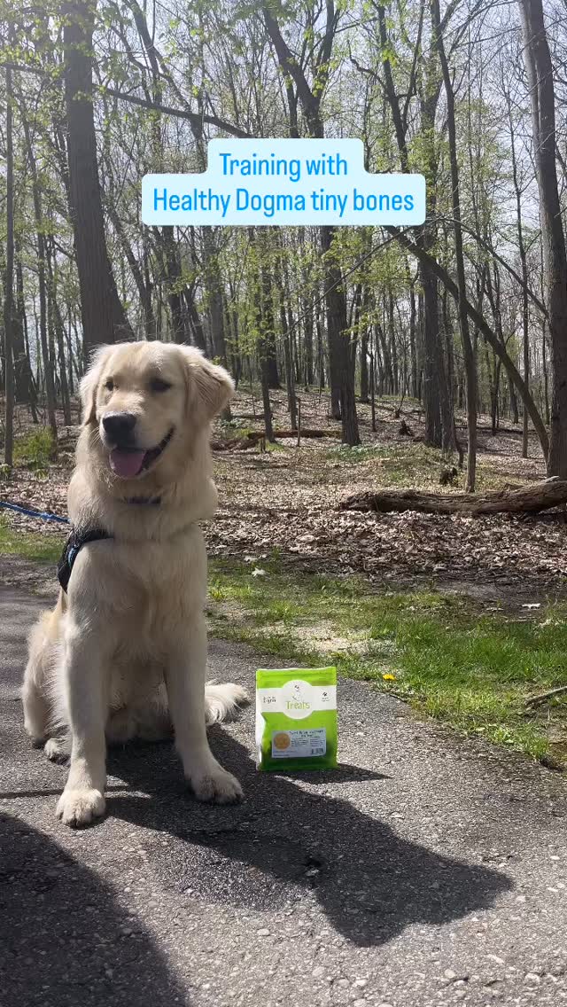 Locked in on his favorite treat