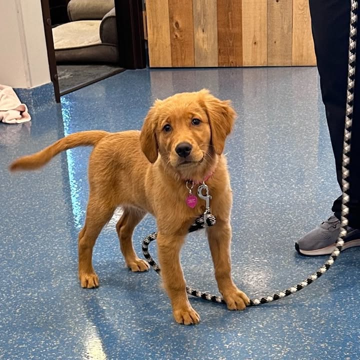 Pepper was the perfect way to start off a Monday morning!