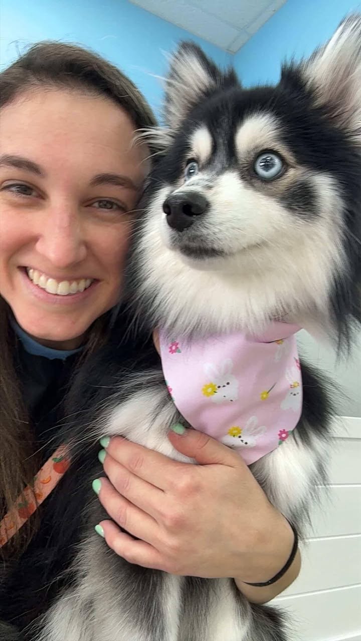 Photos from Love 4 Dogs's post