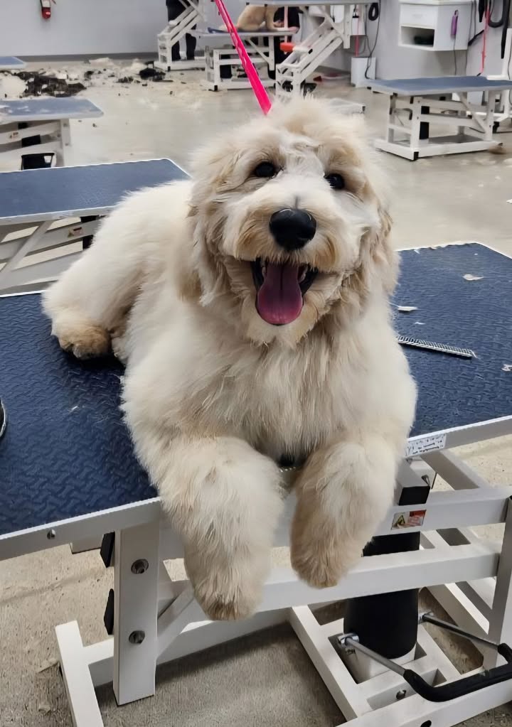 All smiles! ❤️🐾