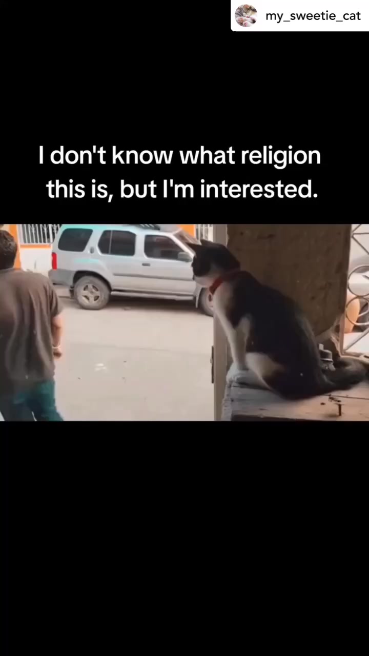 Credit: Unknown. This does the rounds a lot.