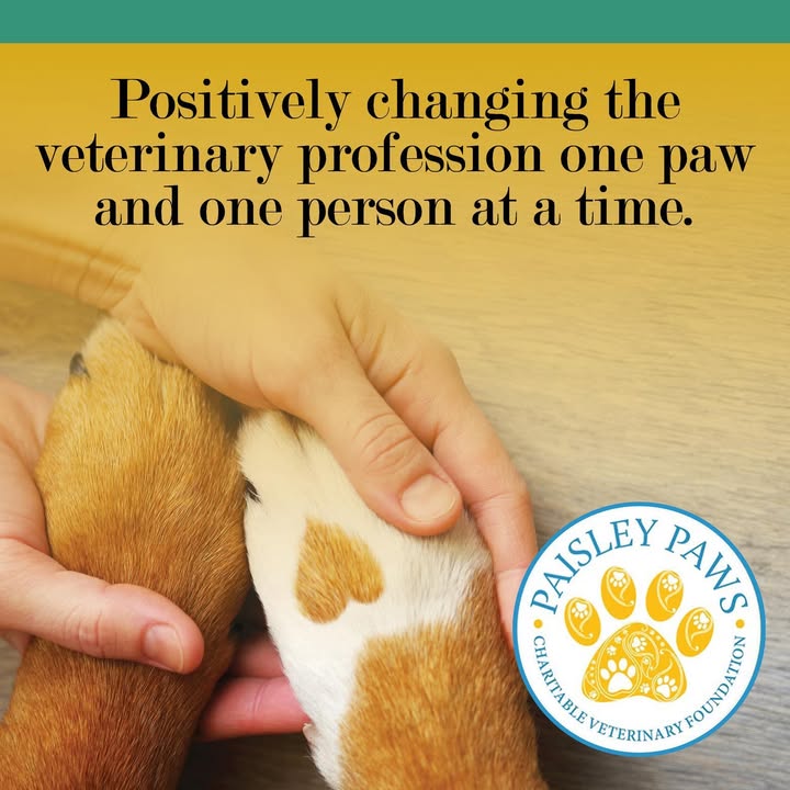🐾 Lend a Paw, Save a Life!