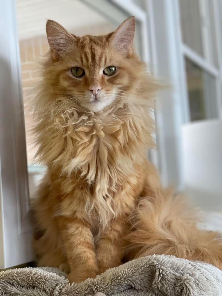 We will be CLOSED on Monday, October 13th for a staff inservice day