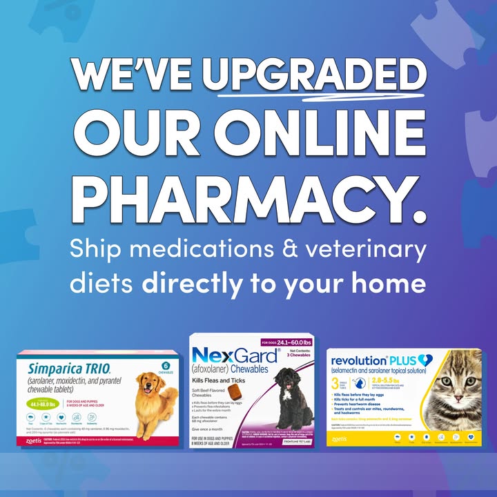Exciting News!