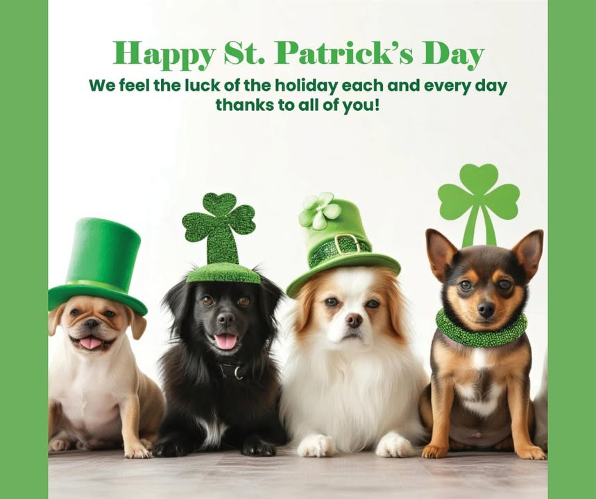 Happy St. Patrick's Day from the staff at OACC!