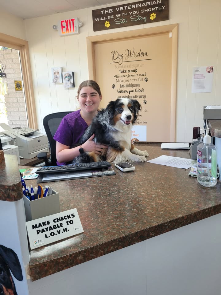 Chap’s Front Desk Adventure Diary Entry🐾