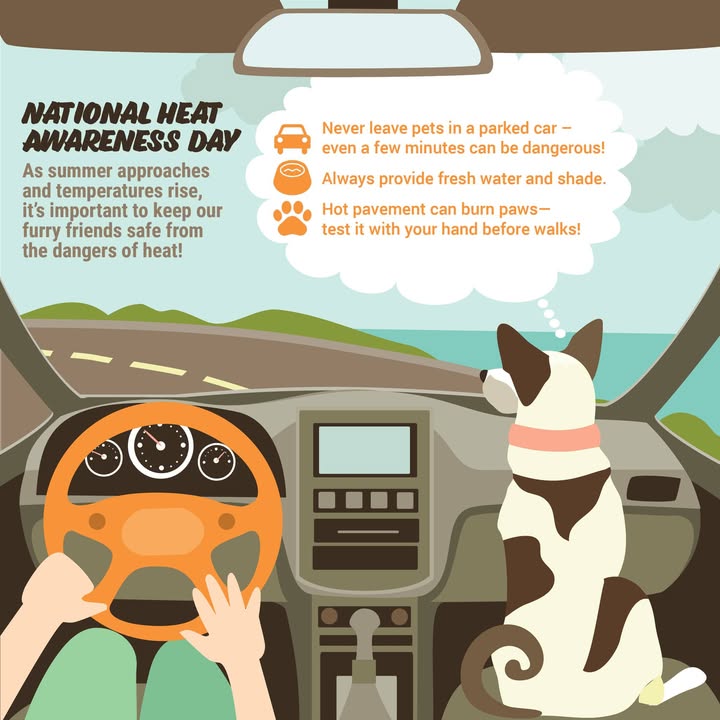 It’s National Heat Awareness Day!