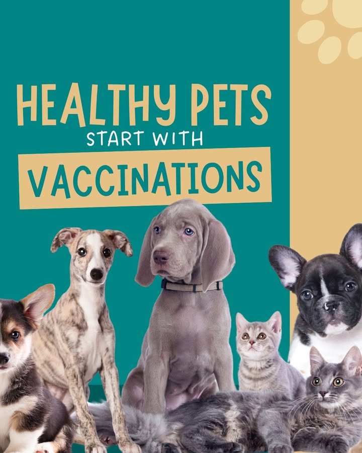 Healthy pets start with vaccinations!