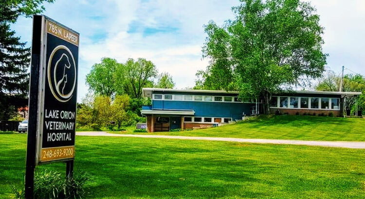 Lake Orion Veterinary Hospital's cover photo