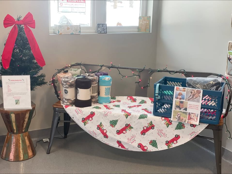 🐾 Holiday Donation Drive 🐾