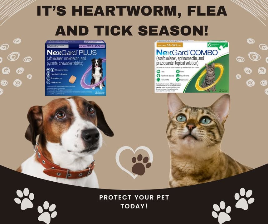 We have some excellent rebates on NexGard Plus and NexGard Combo this season!