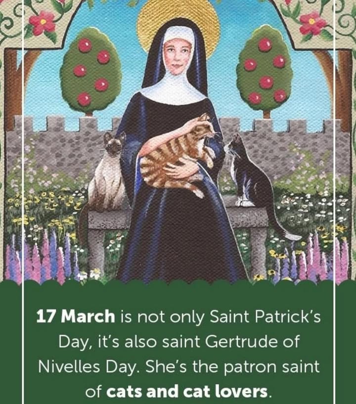 Today is not only St