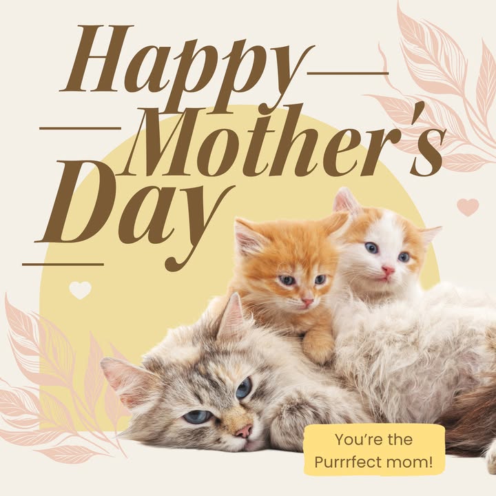 Happy Mother’s Day to all the amazing moms out there—whether your babies have two legs or four paws!