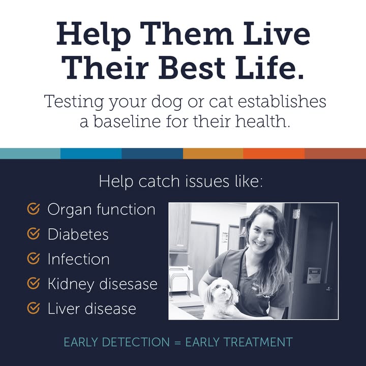 Did you know that early detection labwork can help identify kidney disease, diabetes, or liver issues before they become severe?